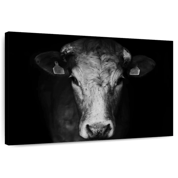 Elephant Stock Pondering Cow Wall Art - Horizontal Canvas Wall Art - Living Room Wall Decor - Animal Canvas - Black And Gray Decor - 12" x 8"