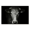 thumbnail image 1 of Elephant Stock Pondering Cow Wall Art - Horizontal Canvas Wall Art - Living Room Wall Decor - Animal Canvas - Black And Gray Decor - 39" x 26", 1 of 4