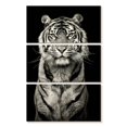 thumbnail image 1 of Elephant Stock Powerful Tiger Portrait Wall Art - Vertical Multi Panel Canvas - Living Room Wall Decor - Animal Multi Panel - Gray And Black Decor - 14" x 23", 1 of 4