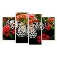 thumbnail image 1 of Elephant Stock Pretty Butterfly Wall Art - Horizontal Multi Panel Canvas - Living Room Wall Decor - Animal Multi Panel - Black And White Decor - 68" x 42", 1 of 4