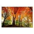 thumbnail image 1 of Elephant Stock Prism Of Light Wall Art - Horizontal Canvas Wall Art - Living Room Wall Decor - Nature Canvas - Red And Orange Decor By Lars Van De Goor - 24" x 16", 1 of 4