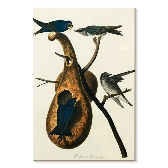 Elephant Stock Purple Martin Wall Art - Vertical Canvas Wall Art - Living Room Wall Decor - Education Canvas - Beige And Green Decor By John James Audubon - 8" x 12"