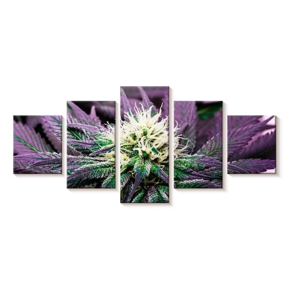 Elephant Stock Rare Cannabis Plant Wall Art - Horizontal Multi Panel Canvas - Bedroom Wall Decor - Floral And Botanical Multi Panel - Beige And Purple Decor - 29" x 12"