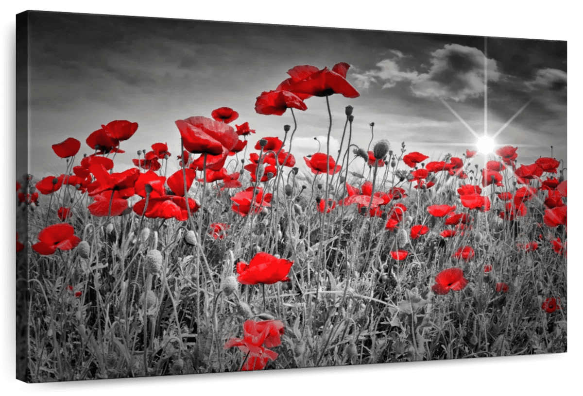 Elephant Stock Red Poppies Pop Wall Art Horizontal Canvas Wall Art