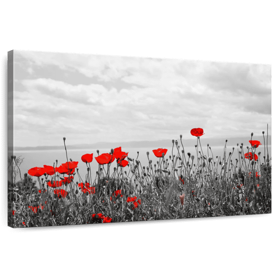 Elephant Stock Red Poppy Field Pop Wall Art - Horizontal Canvas Wall Art - Living Room Wall Decor - Floral And Botanical Canvas - Red And Gray Decor - 36" x 24"