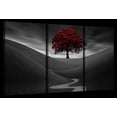 thumbnail image 1 of Elephant Stock Red Tree In Dark Valley Wall Art - Horizontal Multi Panel Canvas - 3 Pieceliving Room Wall Decor - Photography Nature Multi Panel - Gray And Black Decor - 74" x 48", 1 of 4