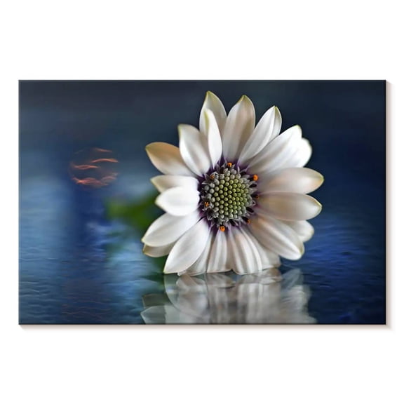 Elephant Stock Resting In Water Wall Art - Horizontal Canvas Wall Art - Living Room Wall Decor - Floral And Botanical Canvas - Blue And Gray Decor By Heidi Westum - 12" x 8"