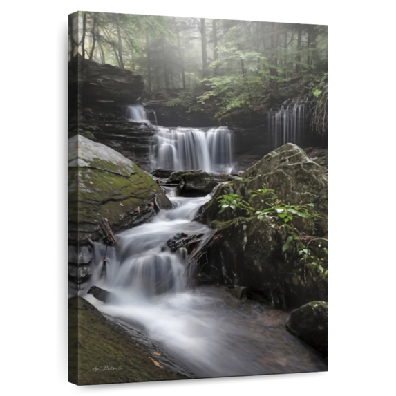 Elephant Stock Rickett's Waterfall Wall Art - Vertical Canvas Wall Art - Living Room Wall Decor - Wellness Canvas - Green And Brown Decor By Lisa Larson - 32" x 48"
