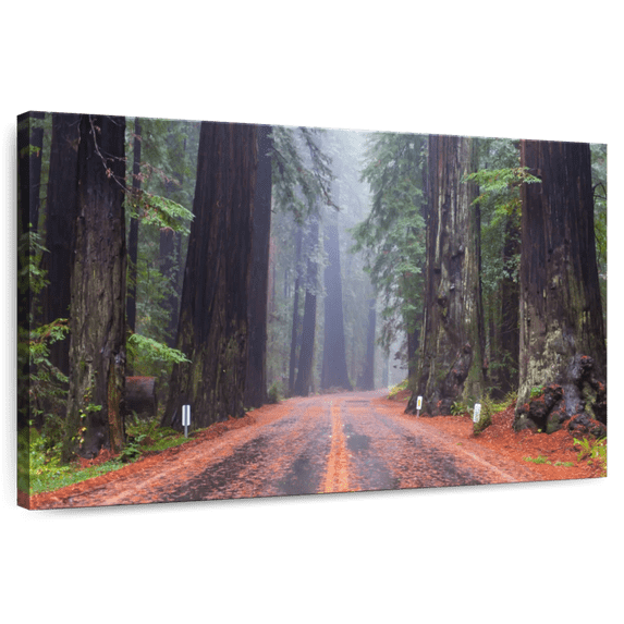 Elephant Stock Road To A Redwood Forest Wall Art - Horizontal Canvas Wall Art - Living Room Wall Decor - Transportation Canvas - Orange And Brown Decor - 36" x 24"