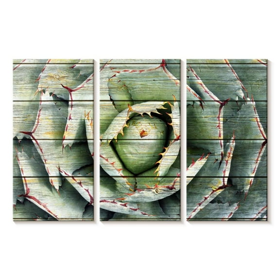 Elephant Stock Rustic Agave Wall Art - Horizontal Multi Panel Canvas - Living Room Wall Decor - Floral And Botanical Multi Panel - Blue And Brown Decor - 23" x 14"