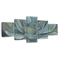 thumbnail image 1 of Elephant Stock Rustic Succulent Wall Art - Horizontal Multi Panel Canvas - Living Room Wall Decor - Floral And Botanical Multi Panel - Teal And Beige Decor By Norman Wyatt Jr. - 80" x 36", 1 of 8
