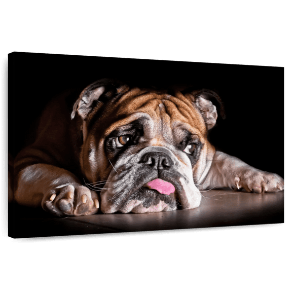 Elephant Stock Sad Bulldog Wall Art - Horizontal Canvas Wall Art - Living Room Wall Decor - Animal Canvas - Black And Orange Decor - 39" x 26"