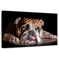thumbnail image 1 of Elephant Stock Sad Bulldog Wall Art - Horizontal Canvas Wall Art - Living Room Wall Decor - Animal Canvas - Black And Orange Decor - 48" x 32", 1 of 8