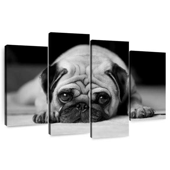 Elephant Stock Sad Pug Wall Art - Horizontal Multi Panel Canvas - Living Room Wall Decor - Animal Multi Panel - Black And Gray Decor - 43" x 27"