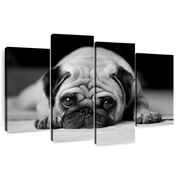 Elephant Stock Sad Pug Wall Art - Horizontal Multi Panel Canvas - Living Room Wall Decor - Animal Multi Panel - Black And Gray Decor - 75" x 48"