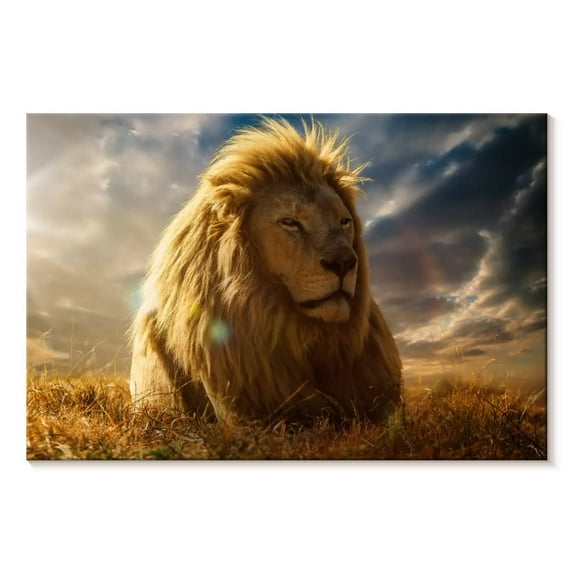 Elephant Stock Safari Lion Glory Wall Art - Horizontal Canvas Wall Art - Living Room Wall Decor - Animal Canvas - Gray And Yellow Decor - 51" x 34"