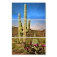 thumbnail image 1 of Elephant Stock Saguaro And Prickly Pear Cactus Wall Art - Vertical Multi Panel Canvas - Living Room Wall Decor - Floral And Botanical Multi Panel - Blue And Green Decor - 42" x 65", 1 of 4