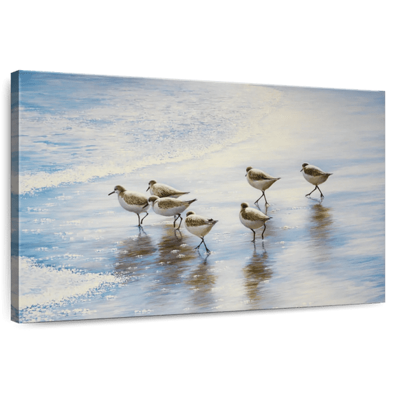 Elephant Stock Sand Dancers Ii Wall Art - Horizontal Canvas Wall Art - Living Room Wall Decor - Animal Canvas - Blue And White Decor By Bruce Nawrocke - 36" x 24"