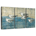 thumbnail image 1 of Elephant Stock Sandpipers Oil Distressed Wall Art - Horizontal Multi Panel Canvas - Living Room Wall Decor - Animal Multi Panel - Blue And Beige Decor By Paul Brent - 50" x 32", 1 of 8