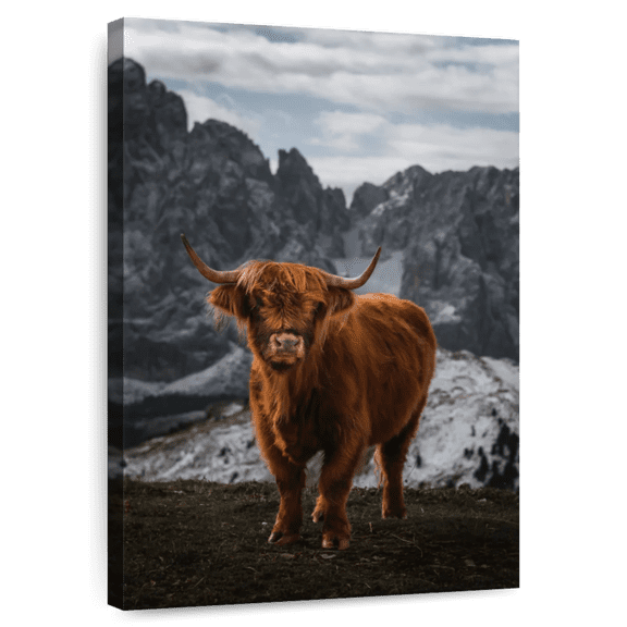 Elephant Stock Scott Brown Highland Cow Wall Art - Vertical Canvas Wall Art - Living Room Wall Decor - Animal Canvas - Brown And Gray Decor - 26" x 39"