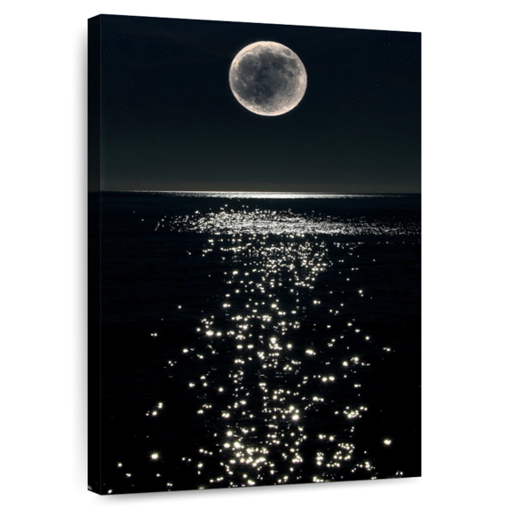 Elephant Stock Sea At Night Wall Art - Vertical Canvas Wall Art - Living Room Wall Decor - Beach Canvas - Black And Beige Decor - 32" x 48"