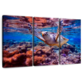 thumbnail image 1 of Elephant Stock Sea Turtle Over Coral Reef Wall Art - Horizontal Multi Panel Canvas - Living Room Wall Decor - Animal Multi Panel - Gray And Brown Decor - 45" x 28", 1 of 8