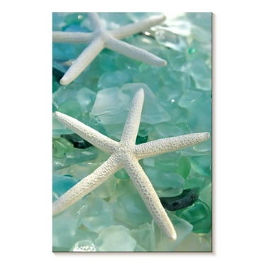 Elephant Stock Seaglass I Wall Art - Vertical Canvas Wall Art - Living Room Wall Decor - Nautical Canvas - Teal And Turquoise Decor By Alan Blaustein - 8" x 12"