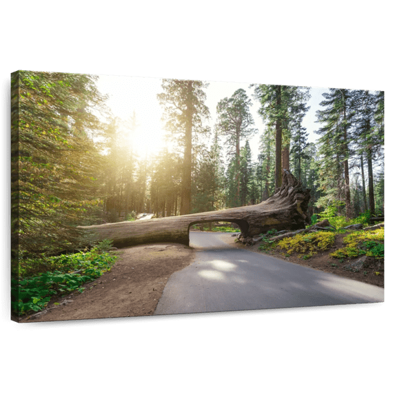 Elephant Stock Sequoia Log Tunnel Road Wall Art - Horizontal Canvas Wall Art - Living Room Wall Decor - Transportation Canvas - Green And Beige Decor - 12" x 8"