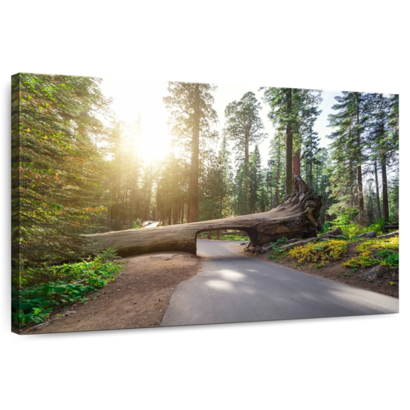 Elephant Stock Sequoia Log Tunnel Road Wall Art - Horizontal Canvas Wall Art - Living Room Wall Decor - Transportation Canvas - Green And Beige Decor - 12" x 8"