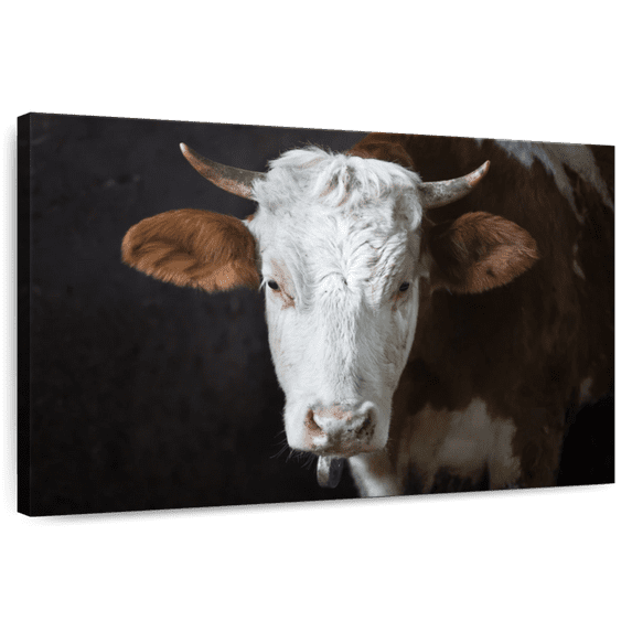 Elephant Stock Serious Cow Face Wall Art - Horizontal Canvas Wall Art - Living Room Wall Decor - Animal Canvas - Black And Gray Decor - 39" x 26"