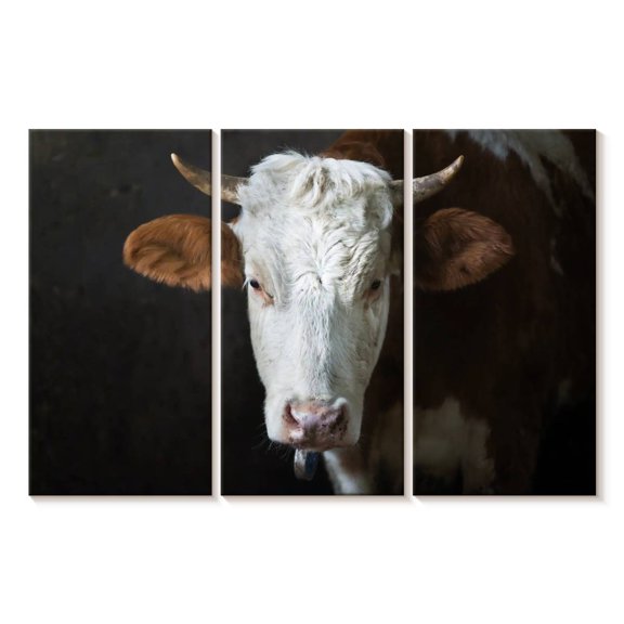 Elephant Stock Serious Cow Face Wall Art - Horizontal Multi Panel Canvas - Living Room Wall Decor - Animal Multi Panel - Black And Gray Decor - 65" x 42"