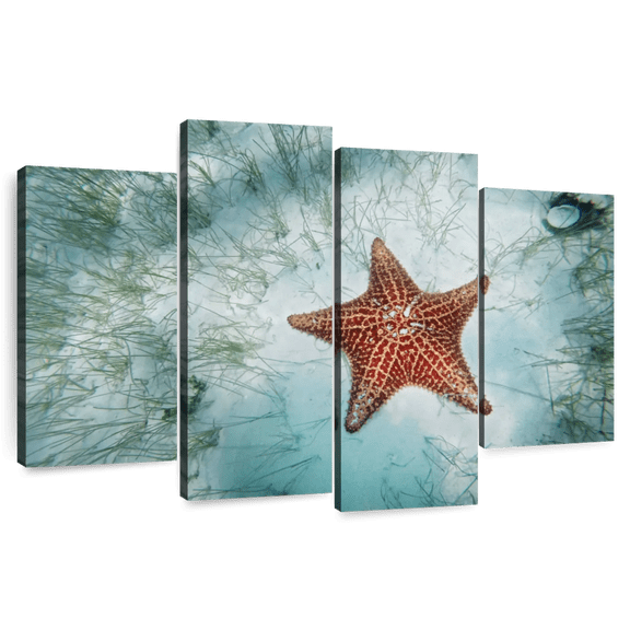 Elephant Stock Shallows Starfish Wall Art - Horizontal Multi Panel Canvas - Living Room Wall Decor - Animal Multi Panel - Gray And Red Decor - 84" x 54"