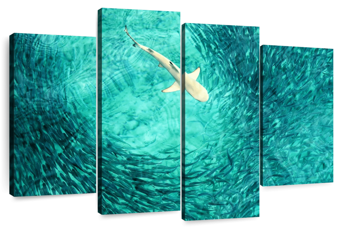 Elephant Stock Shark Prey Wall Art - Horizontal Multi Panel Canvas ...