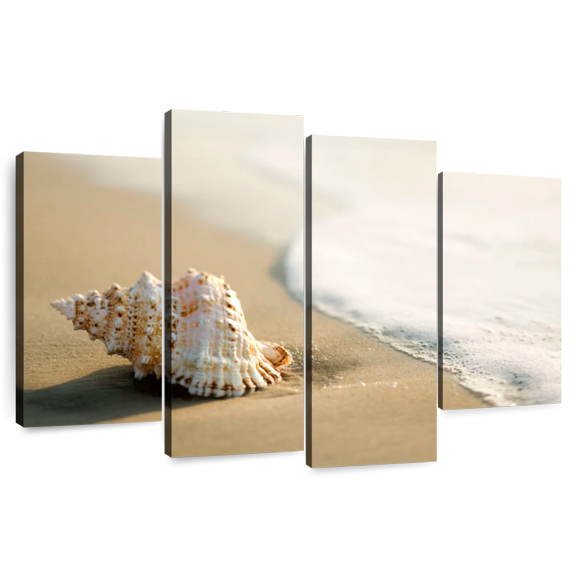 Elephant Stock Shell On The Beach Wall Art - Horizontal Multi Panel Canvas - Living Room Wall Decor - Nautical Multi Panel - Beige And Gray Decor - 36" x 22"