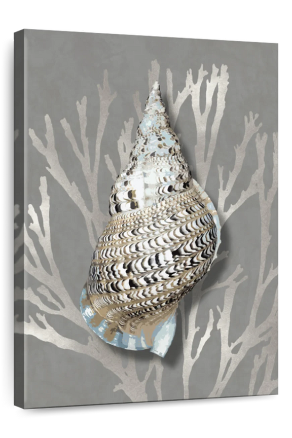 Shell Coral Silver On Gray I Wall Art - Vertical Canvas Wall Art - Living Room Wall Decor - Nautical Canvas - Silver And White Decor By Caroline Kelly - 8" x 12"