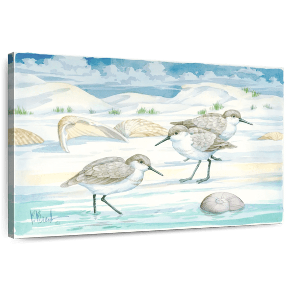 Elephant Stock Shell Island Sandpipers Wall Art - Horizontal Canvas Wall Art - Living Room Wall Decor - Animal Canvas - Blue And Turquoise Decor By Paul Brent - 12" x 8"