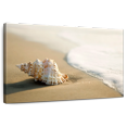 thumbnail image 1 of Elephant Stock Shell On The Beach Wall Art - Horizontal Canvas Wall Art - Living Room Wall Decor - Nautical Canvas - Beige And Gray Decor - 30" x 20", 1 of 8