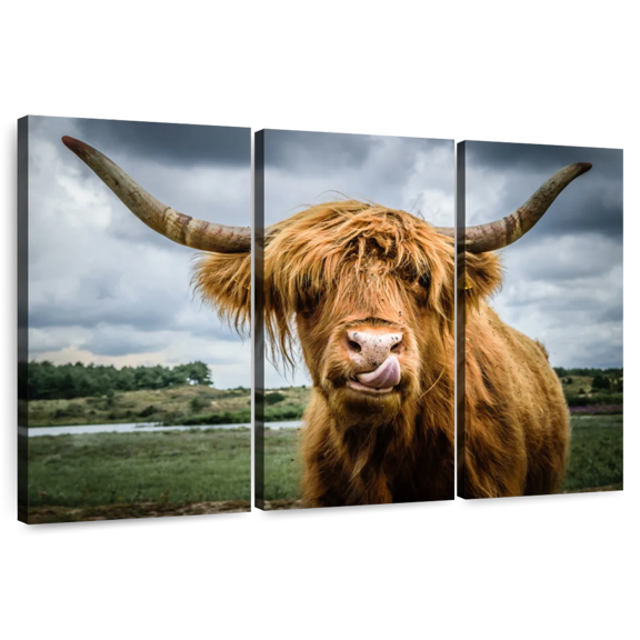 Elephant Stock Silly Highland Cow Wall Art - Horizontal Multi Panel Canvas - Living Room Wall Decor - Animal Multi Panel - Brown And Blue Decor - 33" x 20"