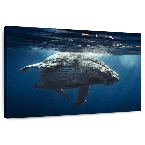 Elephant Stock Skimming Whale Wall Art - Horizontal Canvas Wall Art - Living Room Wall Decor - Animal Canvas - Blue And Black Decor - 48" x 32"