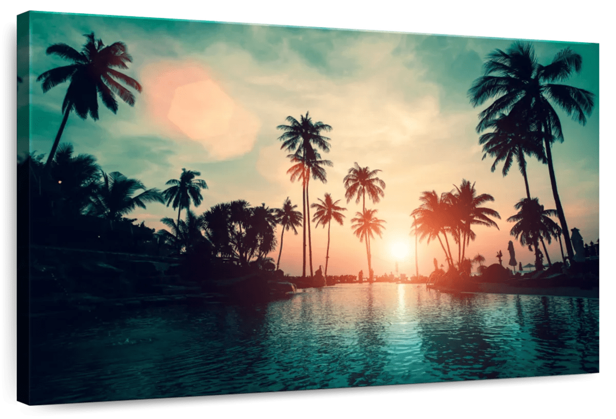 Elephant Stock Soft Sunset Over Palm Trees Wall Art - Horizontal Canvas ...