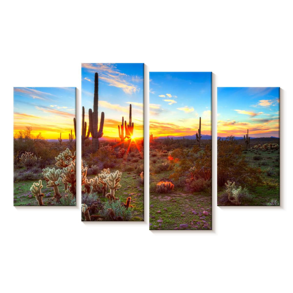Elephant Stock Sonoran Desert Sunset Landscape Wall Art - Horizontal ...