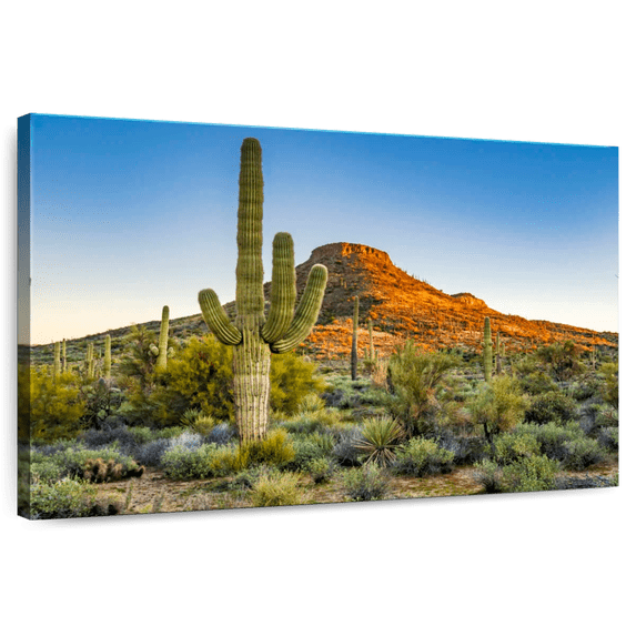 Elephant Stock Sonoran Desert Wall Art - Horizontal Canvas Wall Art - Living Room Wall Decor - Nature Canvas - Green And Orange Decor - 24" x 16"