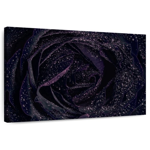 Elephant Stock Sparkling Black Rose Wall Art - Horizontal Canvas Wall Art - Living Room Wall Decor - Floral And Botanical Canvas - Purple And Black Decor - 30" x 20"