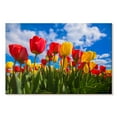 thumbnail image 1 of Elephant Stock Spring Tulip Field Wall Art - Horizontal Canvas Wall Art - Hallway Wall Decor - Floral And Botanical Canvas - Blue And Red Decor - 45" x 30", 1 of 4