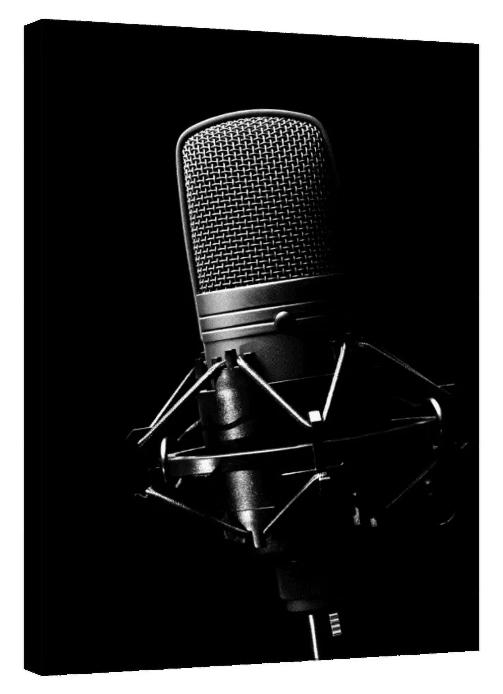Elephant Stock Studio Microphone Wall Art - Vertical Canvas Wall Art ...