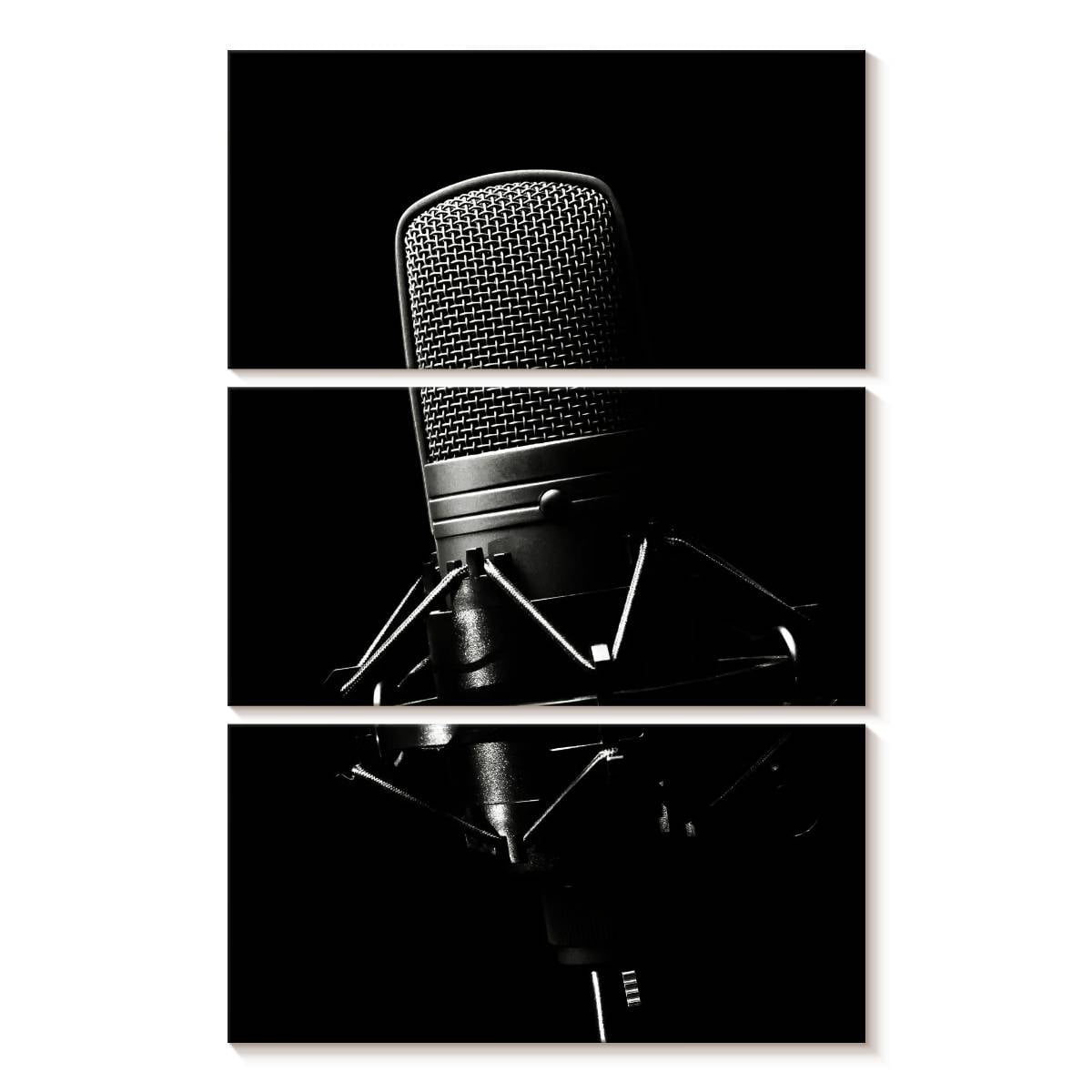 Elephant Stock Studio Microphone Wall Art - Vertical Multi Panel Canvas ...
