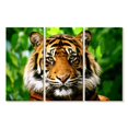 thumbnail image 1 of Elephant Stock Sumatran Tiger Gaze Wall Art - Horizontal Multi Panel Canvas - Living Room Wall Decor - Animal Multi Panel - Green And Brown Decor - 57" x 36", 1 of 4