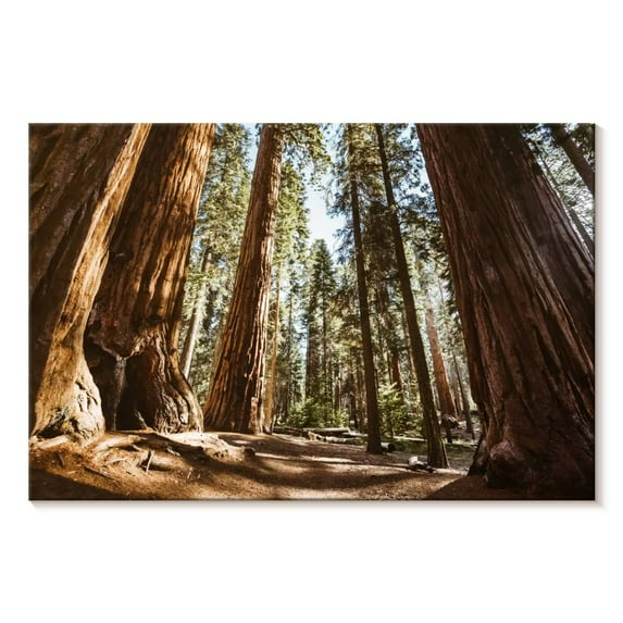 Elephant Stock Summer In Sequoia Park Wall Art - Horizontal Canvas Wall Art - Living Room Wall Decor - Floral And Botanical Canvas - Brown And Beige Decor - 45" x 30"