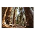 thumbnail image 1 of Elephant Stock Summer In Sequoia Park Wall Art - Horizontal Multi Panel Canvas - Living Room Wall Decor - Floral And Botanical Multi Panel - Brown And Beige Decor - 38" x 24", 1 of 4