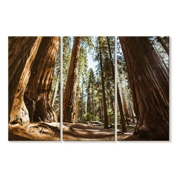 Elephant Stock Summer In Sequoia Park Wall Art - Horizontal Multi Panel Canvas - Living Room Wall Decor - Floral And Botanical Multi Panel - Brown And Beige Decor - 38" x 24"
